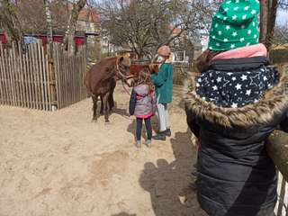 Kinderbauernhof NUSZ ufaFabrik – Bild 2