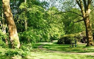 Ortlohnpark – Bild 4