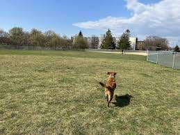 Cordova Valley Park – Bild 5