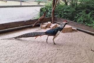 Tierpark Nymphaea – Bild 3