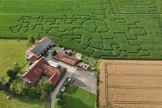 Maislabyrinth Bad Oeynhausen von „Das Mauerwerk“ und „Schmidt Agrar GmbH“ – Bild 1
