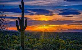 Arizona Park – Bild 4