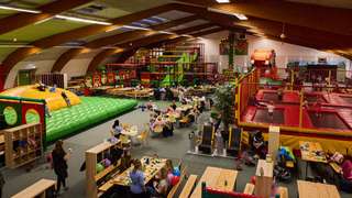 Tummel Dschungel – Bild 4