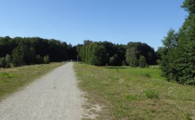 Bürgerpark Detmerode – Bild 3