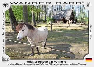 Wildtiergehege am Pöhlberg – Bild 4