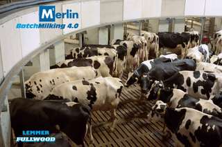 Agrarprodukte Kitzen eG - "Gläserner" Kuhstall – Bild 1