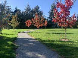Melville Park – Bild 2
