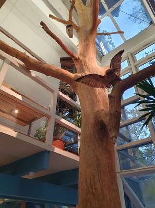 Informationszentrum StadtWaldHaus & Fasanerie – Bild 2