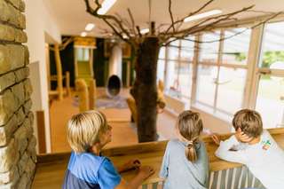 Spielhaus im Grugapark – Bild 6