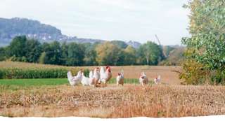 Hagenauer Hof KG - Familie Ehmann – Bild 3