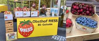 Obsthof Riess – Bild 4