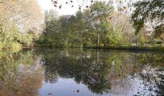 Stens Teich Park – Bild 5