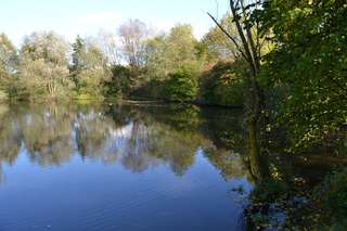 Stens Teich Park – Bild 6