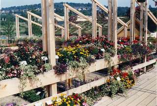 Enzauenpark – Bild 6