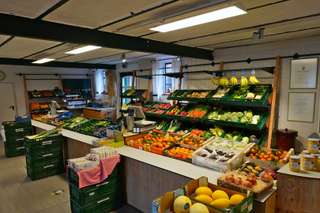 Spargel-Hof Lövenich – Bild 1