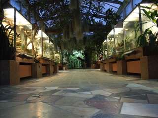 Zoo Frankfurt – Bild 5