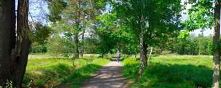 Wildgehege – Bild 4