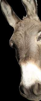 Märchenzoo Ratingen – Bild 1