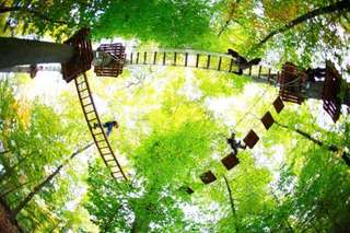 Kletterwald Marburg – Bild 1