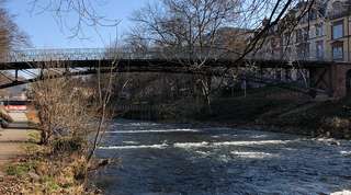 Dreisam-Schaukel – Bild 5