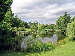 Charleson Park – Bild 3