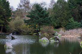 Charleson Park – Bild 5