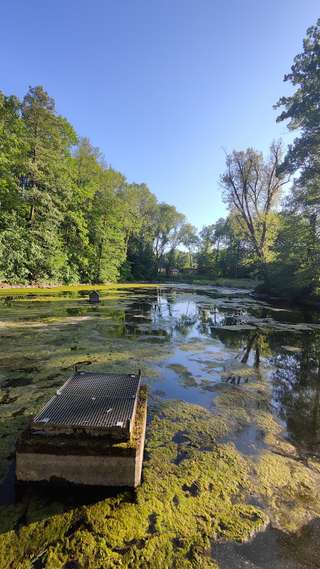 Hammerpark – Bild 3