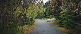 Chamberlains Park – Bild 5