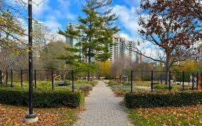 Dempsey Park – Bild 1