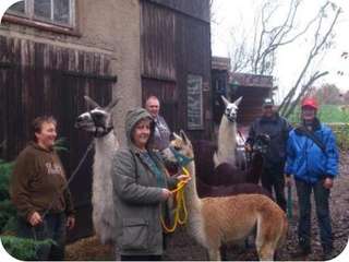 Conchita Ranch – Bild 1