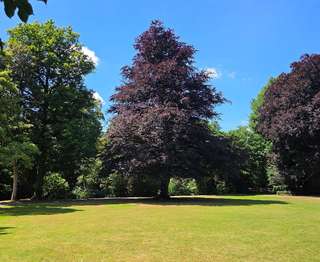 Wuppermannpark – Bild 2