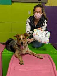 Fido's Playground – Bild 2