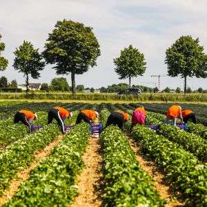 Beller Hof – Bild 2