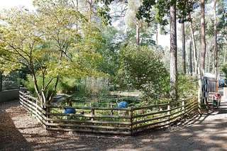 Haus Natur und Umwelt – Bild 2