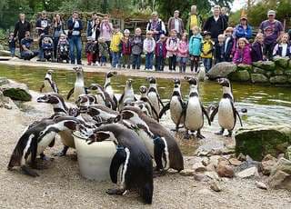 NaturZoo Rheine – Bild 4