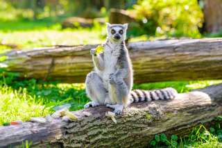 NaturZoo Rheine – Bild 6