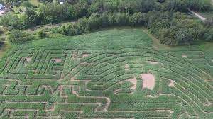 Fletcher's Farm – Bild 2