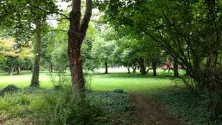 Bärenwiese – Bild 1