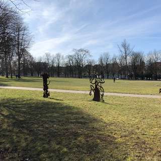 Bärenwiese – Bild 2