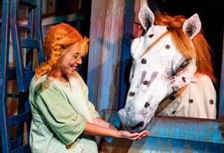 Pippi Langstrumpf Park – Bild 1