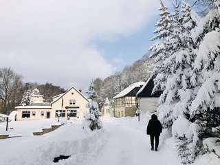 Markls Pferdestall – Bild 4