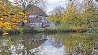 Ententeich in Herne-Süd – Bild 2