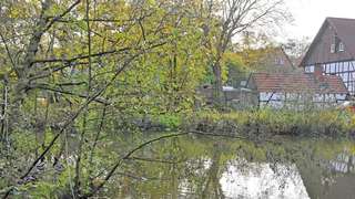 Ententeich in Herne-Süd – Bild 4