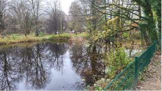 Ententeich in Herne-Süd – Bild 5