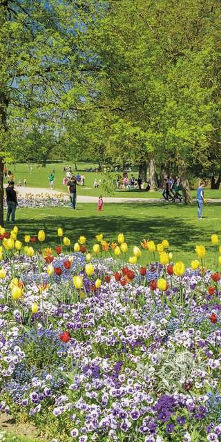 Wertwiesenpark – Bild 3