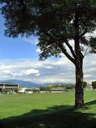 Jonathan Rogers Park – Bild 6