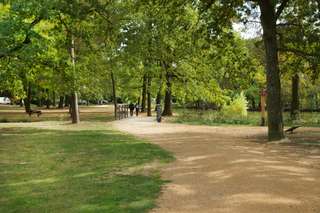 Abenteuerlandschaft Stadtwald – Bild 5