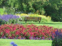 Riley Park – Bild 3