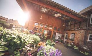 Papes Gemüsegarten - Hofladen Watenbüttel – Bild 2