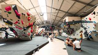 urban apes Hannover – Bild 1